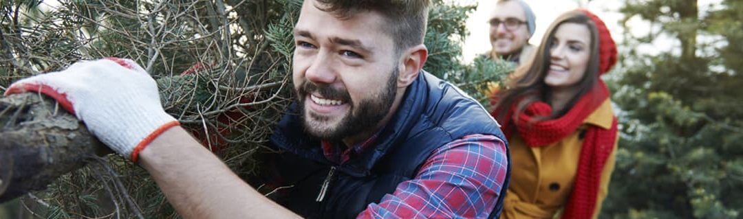 Local business owner transporting a tree for clients at a Christmas tree farm