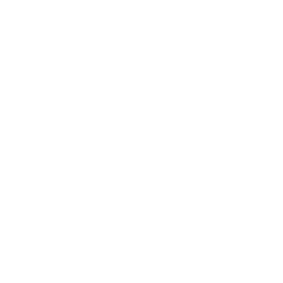 white gps icon